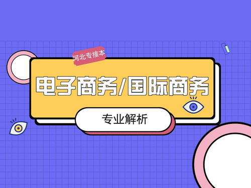 电子商务专业可以编程吗
