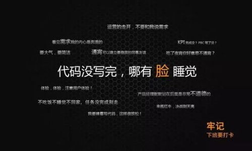电子商务专业总结与感受