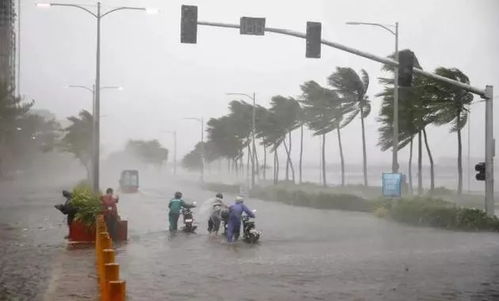 葬礼突遇狂风暴雨 墙体倒塌多人死伤