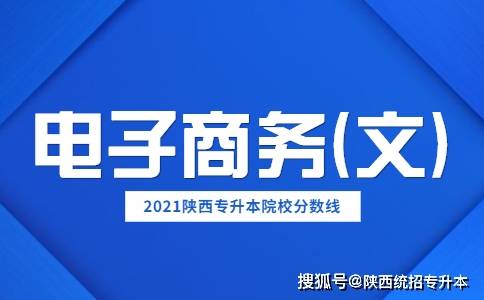 陕西三本电子商务专业