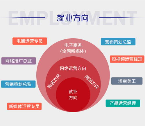 企业对电子商务专业人才