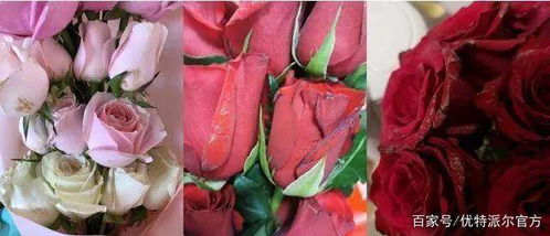 有消费者花20万集齐Labubu