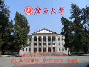 西藏大学电子商务专业有吗