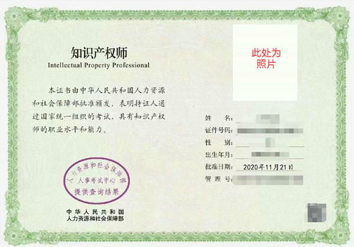 电子商务师证考什么专业