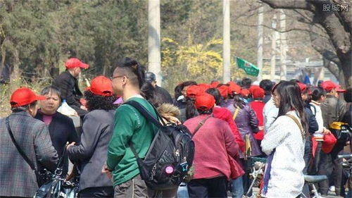 意大利之痛，旅行团游客遭遇洗劫，声援与反思