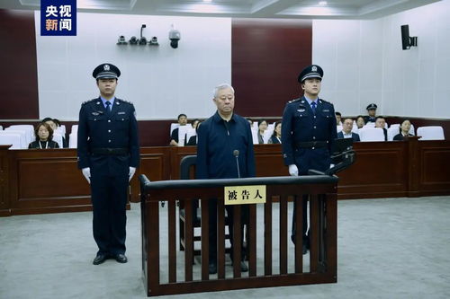 副部级老虎骆玉林被判死刑缓期执行